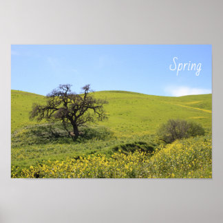 Poster Foto de Oak Natureza de Flores Selvagens Hillside