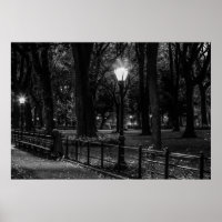 Foto de Paisagem Negra e Branca do Central Park