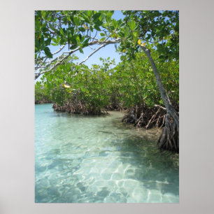 Póster Foto de Porto Rico