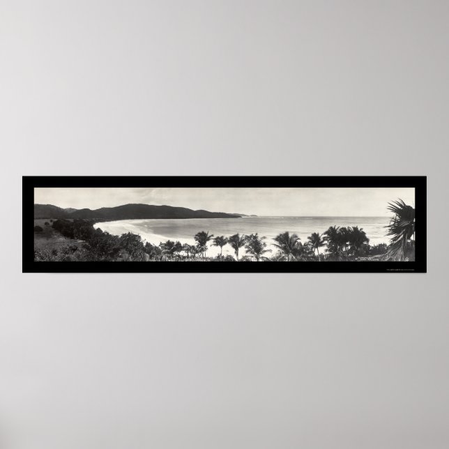 Póster Foto de Porto Rico Flamingo 1914 (Frente)