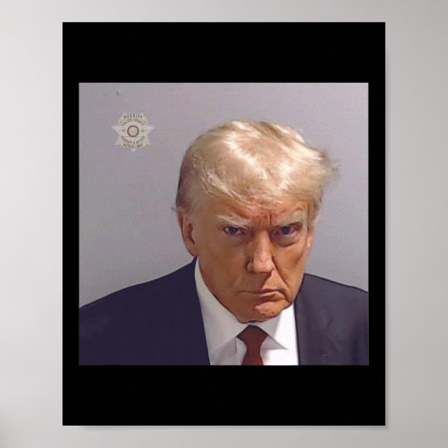 Poster Foto De Reserva De Donald Trump (Frente)