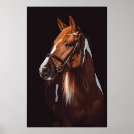 Poster Foto de Retrato de Cavalo de Pintura Castanho Boni