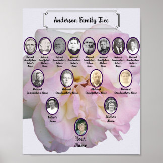 Poster Foto de Rosa Rosa Claro com Fotos de Ancestrais Ov