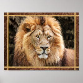 Poster Foto de rosto de leão lindo