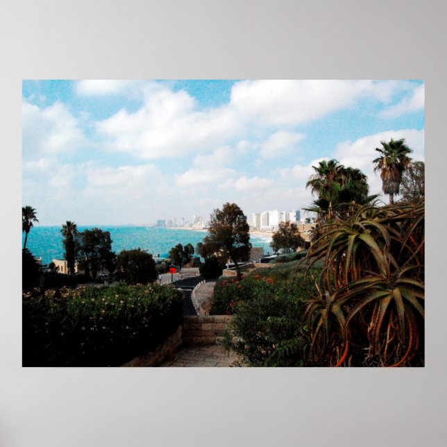 Póster Foto de Tel Aviv do Abrasha Park, Jaffa, Israel (Frente)