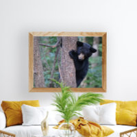 Foto de um filhote de urso preto brincalhão na árv