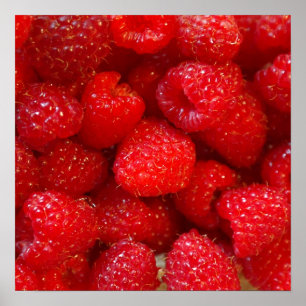 Poster Foto deliciosa de framboesa rosa-escuro