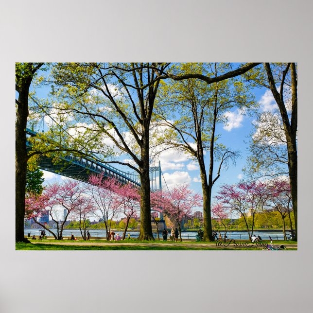 Poster Foto do Astoria Park (Frente)