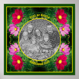 Poster Foto do Cosmos Flowers Cria sua própria foto