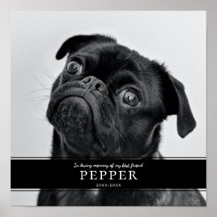 Poster Foto Do Memorial Do Cachorro Pet De Memória Modern
