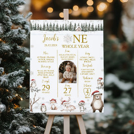 Poster Foto do primeiro aniversario da Floresta de invern