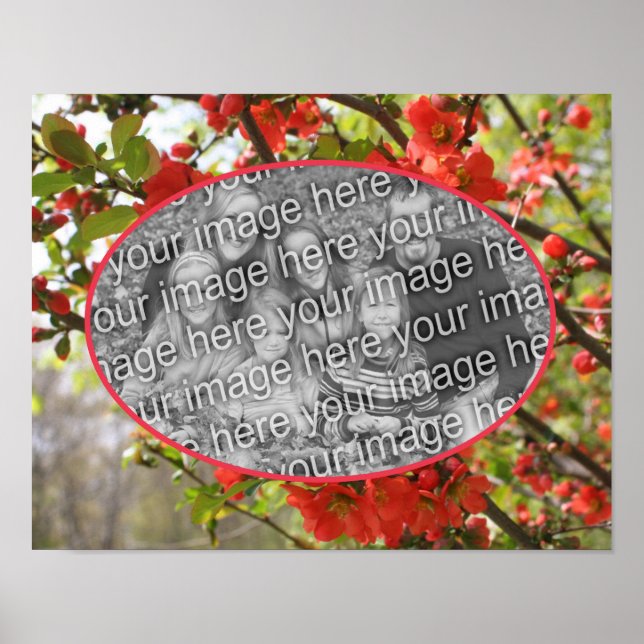 Poster Foto do Red Blossoms Crie a sua própria foto (Frente)