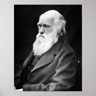 Póster Foto do retrato de Charles Darwin