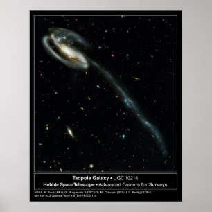 Póster Foto do telescópio de Hubble da galáxia do Tadpo