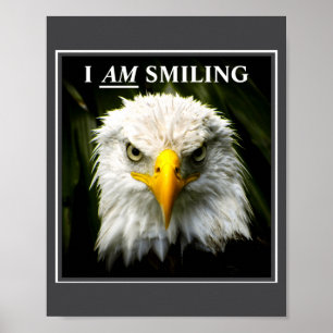 Poster Foto engraçada de águia Mpy sorrindo