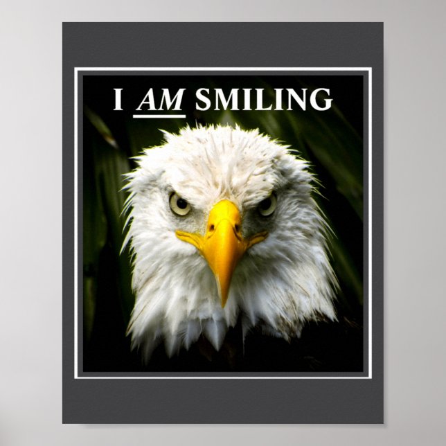 Poster Foto engraçada de águia Mpy sorrindo (Frente)