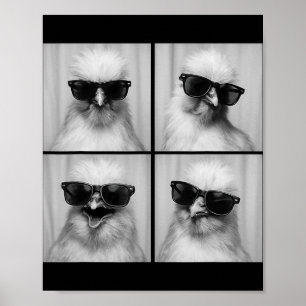Poster Foto engraçada de amante de galinha Silkie fofa an