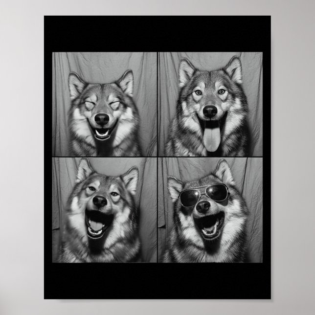 Poster Foto engraçada de lobo com óculos de sol em cabine (Frente)
