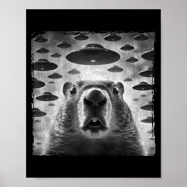 Poster Foto engraçada de marmota com alienígenas Ufos Mar (Frente)