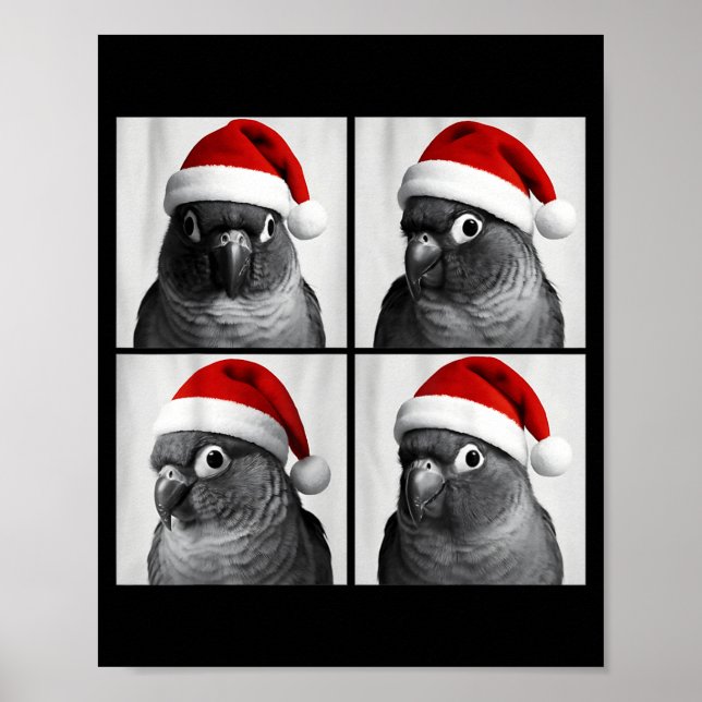 Poster Foto engraçada de Natal de Conure de bochecha verd (Frente)
