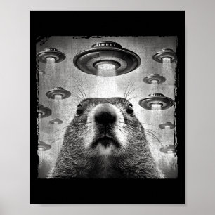 Poster Foto engraçada do Groundhog com alienígenas Ufos G
