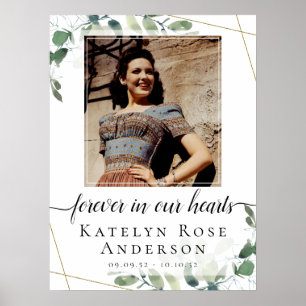 Poster Foto Eucalyptus - Sinal de Boas-vindas do Funeral