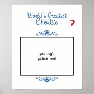 Poster Foto feita sob encomenda! Mundos o grande Chorkie