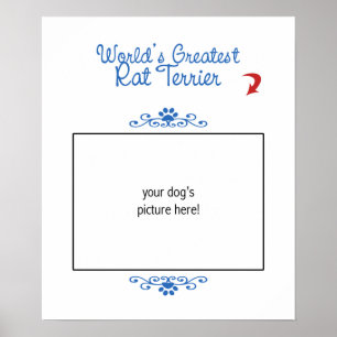 Póster Foto feita sob encomenda! O grande rato Terrier