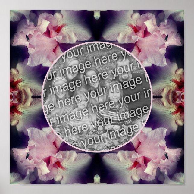Poster Foto: Flor Íris Rosa Crie a sua própria fotografia (Frente)