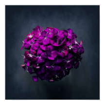 Foto Floral Roxo Vibrante