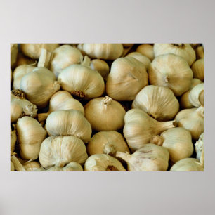 Póster Foto fresca do alho