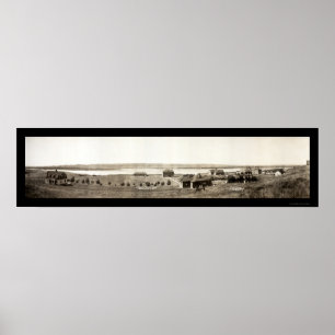 Póster Foto indiana 1907 de Chamberlain SD