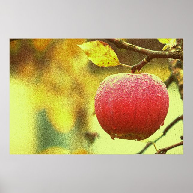 Poster Foto "Maçã Vermelha". Compre agora (Frente)