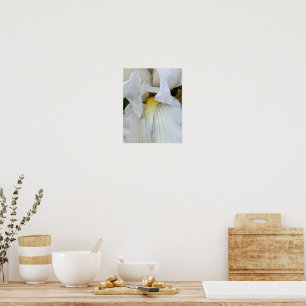 Poster Foto Macro de Flor de Íris Barbada Branca