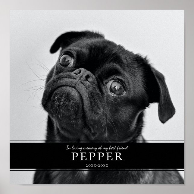 Poster Foto memorial moderna de cachorro em memória amoro (Frente)