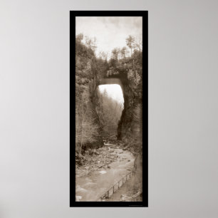 Póster Foto natural 1909 do VA da ponte