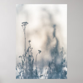 Poster Foto natural das plantas de inverno