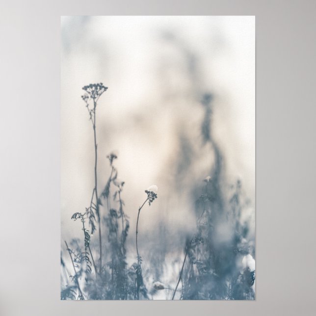 Poster Foto natural das plantas de inverno (Frente)