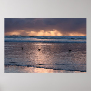 Poster Foto natural de Sunset Coast Beach