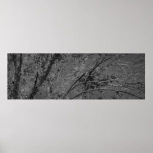 Poster Foto panorâmica em preto e branco