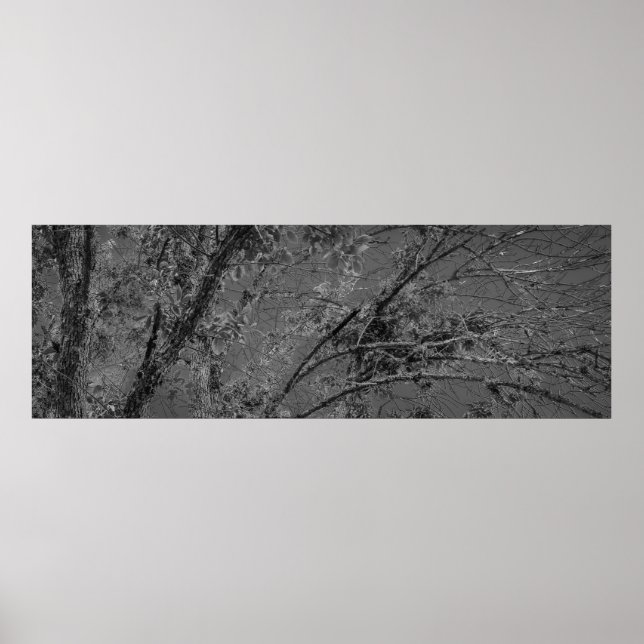 Poster Foto panorâmica em preto e branco (Frente)
