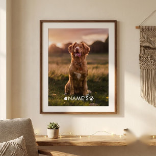 Póster Foto Personalizada Com O Nome Do Seu Cachorro