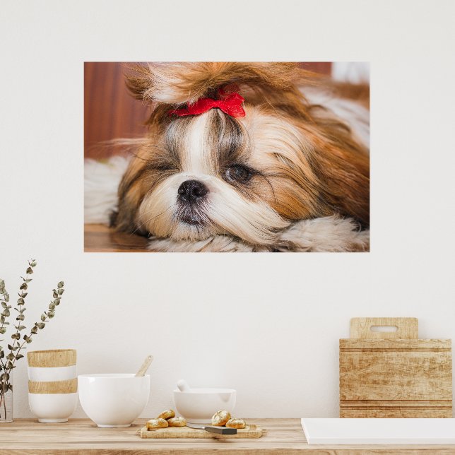 Poster Foto personalizada do seu cachorro (Cozinha)