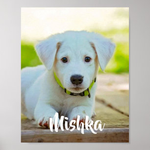 Poster Foto personalizada personalizada de animal de esti