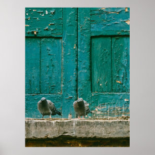 POSTER FOTO PRÓXIMA DE DOIS PIGEÕES DE CINZA NA CONCRET