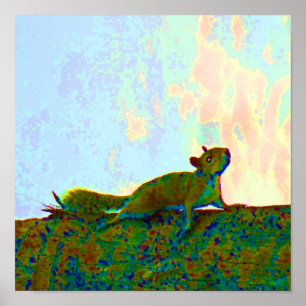 Poster foto psychadelic do esquilo