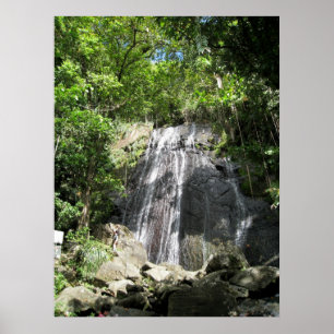 Póster Foto quadro Puerto Rico do EL Yunque