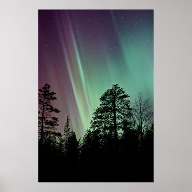POSTER FOTO SILHOUETTE DA AURORA BOREALIS (Frente)