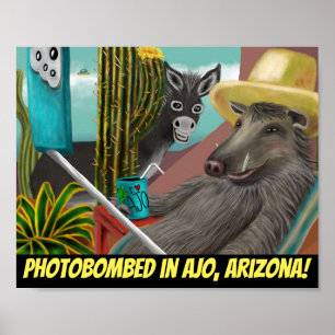 Poster Fotobombado na Arizona Ajo, Cartão-postal de Arizo