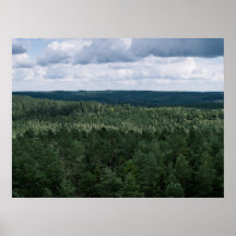 Fotografia Aérea de Paisagem Florestal Verde Nórdi
